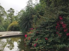 -成都南湖公园