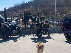 -鬼笑石后山停车场
