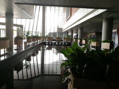 -野马渡文体中心游泳·健身