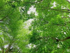 -深圳湾公园(南山区)