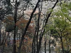 -北京上方山国家森林公园
