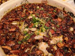 -陈麻婆豆腐总店