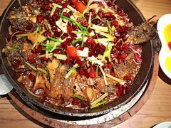 -老板恋上鱼(印象城店)