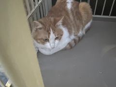 -情忆草原涮肉馆