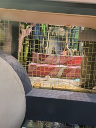 -MELAND CLUB亲子乐园·派对·餐厅(北京芳圆里ID MALL店)