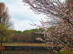 -同里国家湿地公园