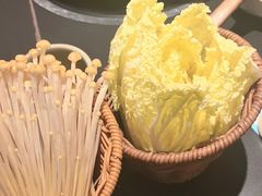 -季季山·云南野生菌火锅(上海首店)