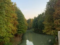 -八大山人梅湖景区