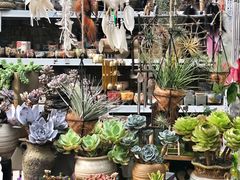 -秦美花卉(天朗·莱茵小城2期店)