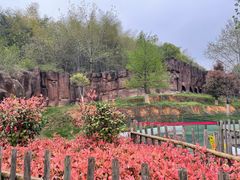 -杭州野生动物世界