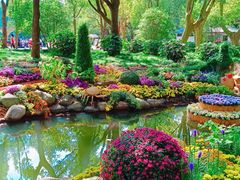 -上海共青森林公园