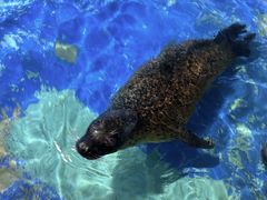 -太平洋海底世界