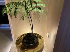 -灸春堂·专业艾灸·连锁品牌(丰潭路店)