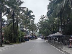 -西双版纳傣族园