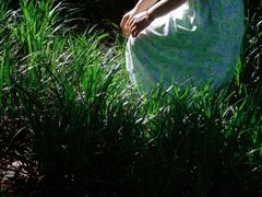 -白鹭湾湿地公园