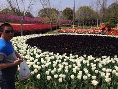 iphone_upload_pic-上海鲜花港