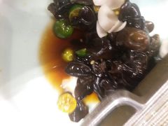 -宝轩渔府·老字号海鲜·正宗津菜(水上店)