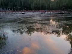 -丰台科技园生态主题公园