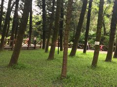 -金山植物公园
