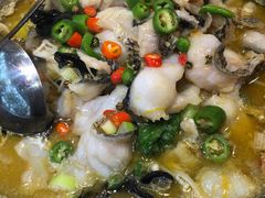 -佶政筋饼·新概念(安阳路店)