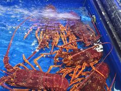 -万宝海鲜舫(劳动公园店)
