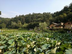 -韶山毛泽东同志故居