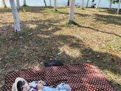 -凤岗南门山森林公园