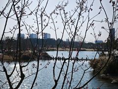 -上海植物园-4号门售票处