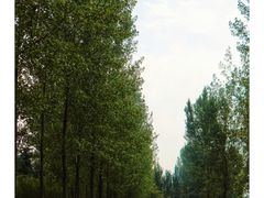 -淇河金沙滩