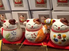 -猫咪博物馆(顶澳仔猫街店)