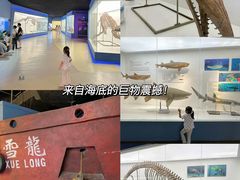 -重庆欢乐海底世界
