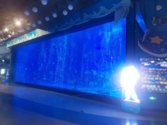 -烟台海昌鲸鲨海洋公园