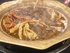 -芦月轩羊蝎子(北蜂窝店)