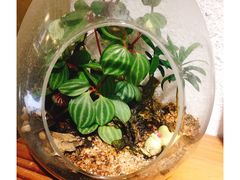 -西关84·History·Art·Cafe