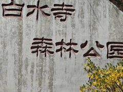 -白水寺森林公园