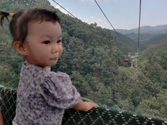 -栾川竹海野生动物园