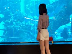 -乐从天佑城海洋馆