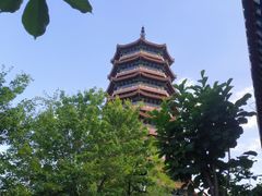 -金城公园