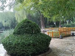 -玲珑塔公园