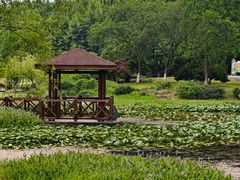 -宜兴龙背山森林公园