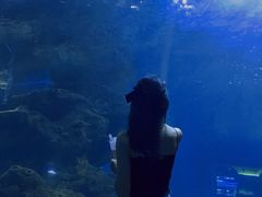 -石家庄海洋公园