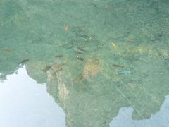 D:\金士顿16G\照片\旅游\20131130雁荡山2日游\SAM_3985-雁荡山风景名胜区-小龙湫