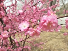 -廊坊市自然公园