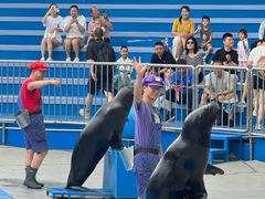 -华夏文旅海洋公园