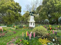 -上海共青森林公园