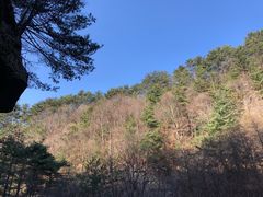 -秦岭风景区