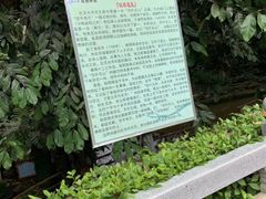 -灵光寺