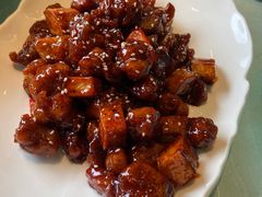 -正阳春烤鸭(华捷道店)