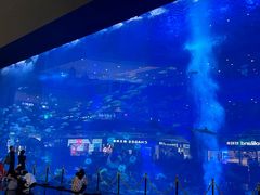 -成都浩海立方海洋公园