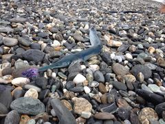 -七星潭蓝天广场